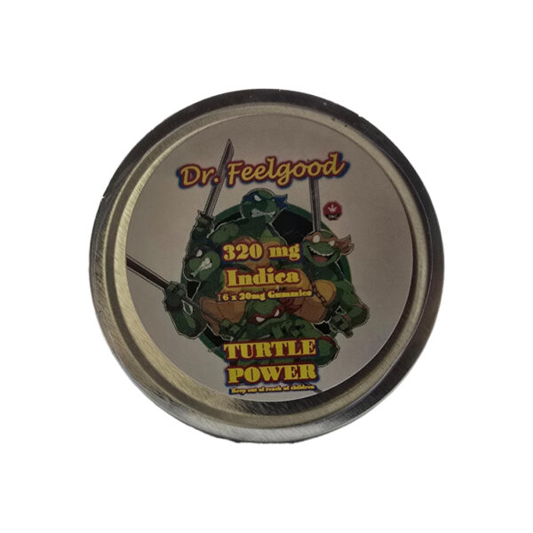 Dr. Feelgood - Turtle Power+