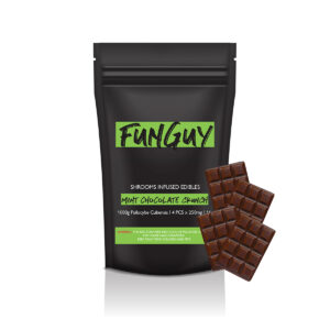 FunGuy - Mint Chocolate