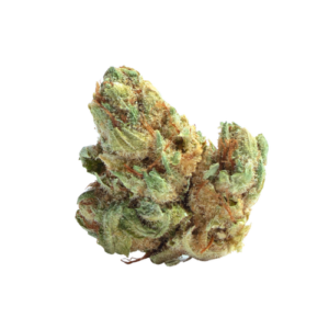 Gushers THCa Flower | Hybrid