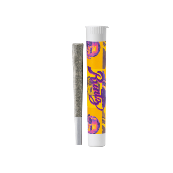 Obama Rntz Pre-roll