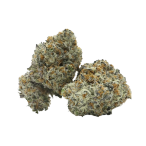 Oreoz THCa Flower | Hybrid